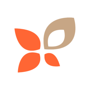 iDynamics