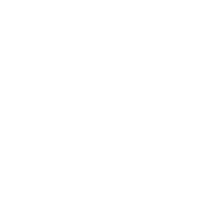 iig Technology