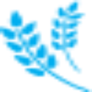 iKhair