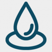 Immersive E-commerce