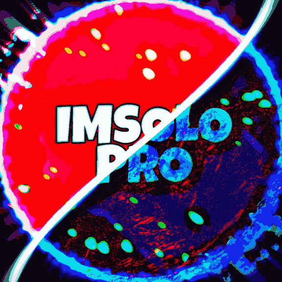 ImSolo.Pro