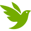 iNaturalist