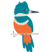 INC Web Hosting