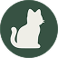 IndiaKittens