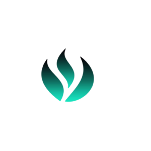 Influencer Nepal