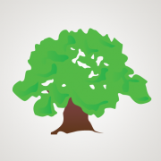 InfoTree Inc.