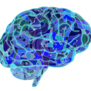 Innovative Care of Dementia