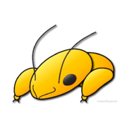 InsectAsylum