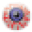 Insomniac Browser