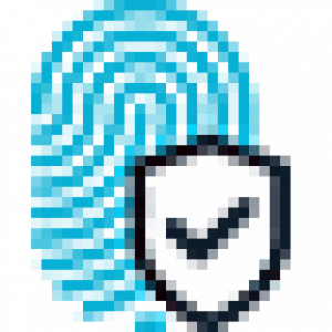 Instant Record Check