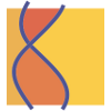 Intwined Pattern Studio