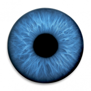 Iris AI