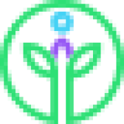 IrisInsights