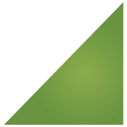 Iron Point Financial