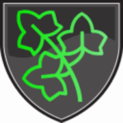 Ivy Cyber
