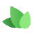 Ivy Flip