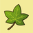 IvyReader