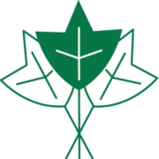 Ivy Software