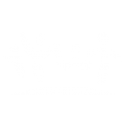 International Youth Work Trainers Guild