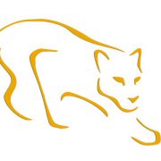 Jaguar Software