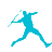 Javelin Fantasy Football