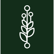 Javelot