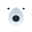JobsBear