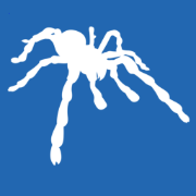 JobSpider