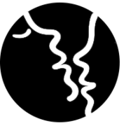 Lust App