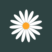 The Daisy