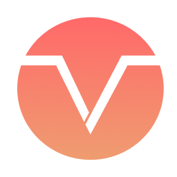 Vizer