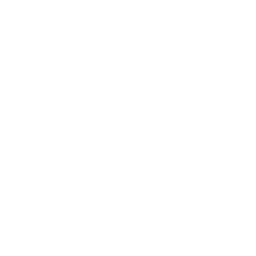 Joyfulperson