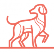 k9 Security