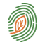 Carbon Footprint Foundation
