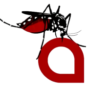 Kidenga