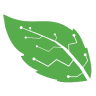 Kisui