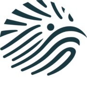 Kiwi Soluciones Digitales