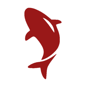 Koi Technologies