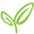 Kotahi