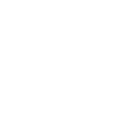 KeyTERRA-FIRMA Ltd