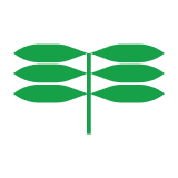 Kua
