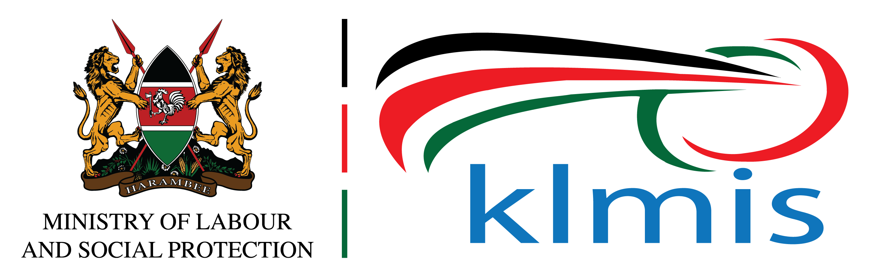 Kenya Labour Market Information System