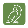 Land Owl
