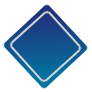 Lead Manager