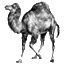 Learn Perl