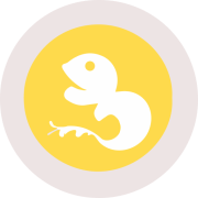 LEDA Technology