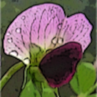Legume Information System