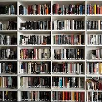 Mi biblioteca negra