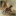 Le Tierce Mathematique