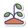 LetsGrowSeeds